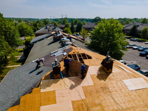 Best Flat Roof Repair Services  in Winfield, AL