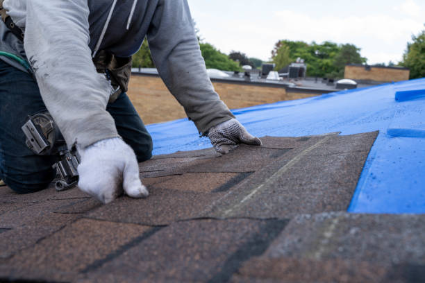 Roof Repair Estimates in Winfield, AL