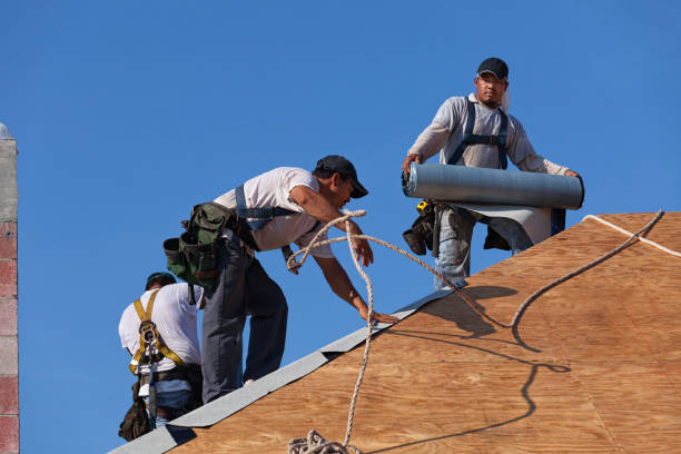 Best Commercial Roofing Services  in Winfield, AL