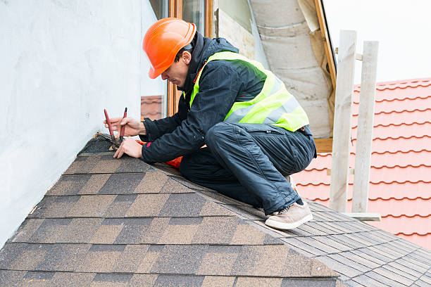 Best Roof Gutter Cleaning  in Winfield, AL